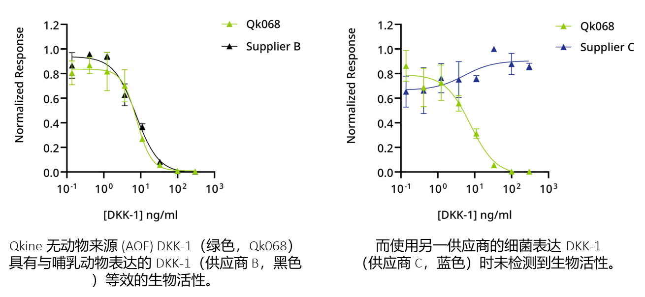 Qkine高生物活性無動物來源(AOF)的 DKK-1