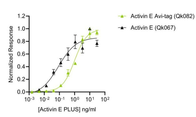Avi標簽活性素E PLUS與無標簽活性素E PLUS的生物活性比較