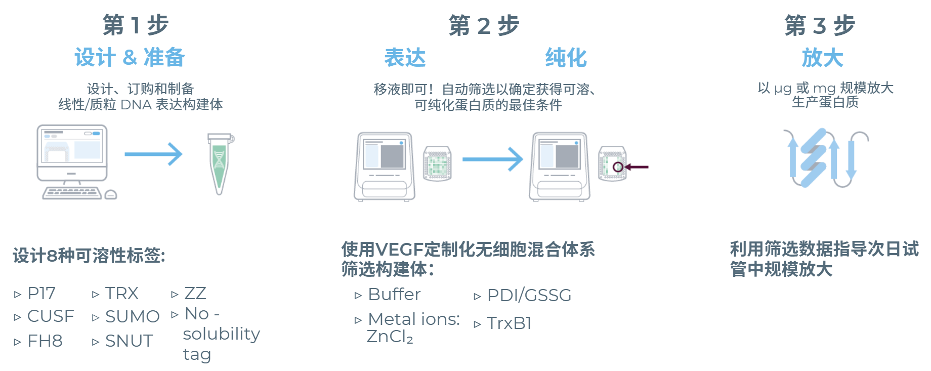 eProteinDiscovery蛋白表達及純化篩選系統工作流程
