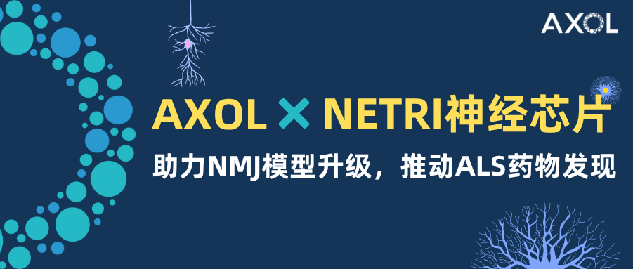 Axol×NETRI神經芯片 | 助力NMJ模型升級，推動ALS藥物發現