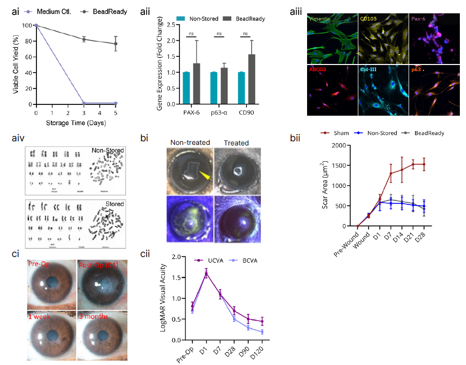 CytoStor保存的角膜緣基質間充質干細胞（LS-MSCs）—體外、體內和首次臨床應用