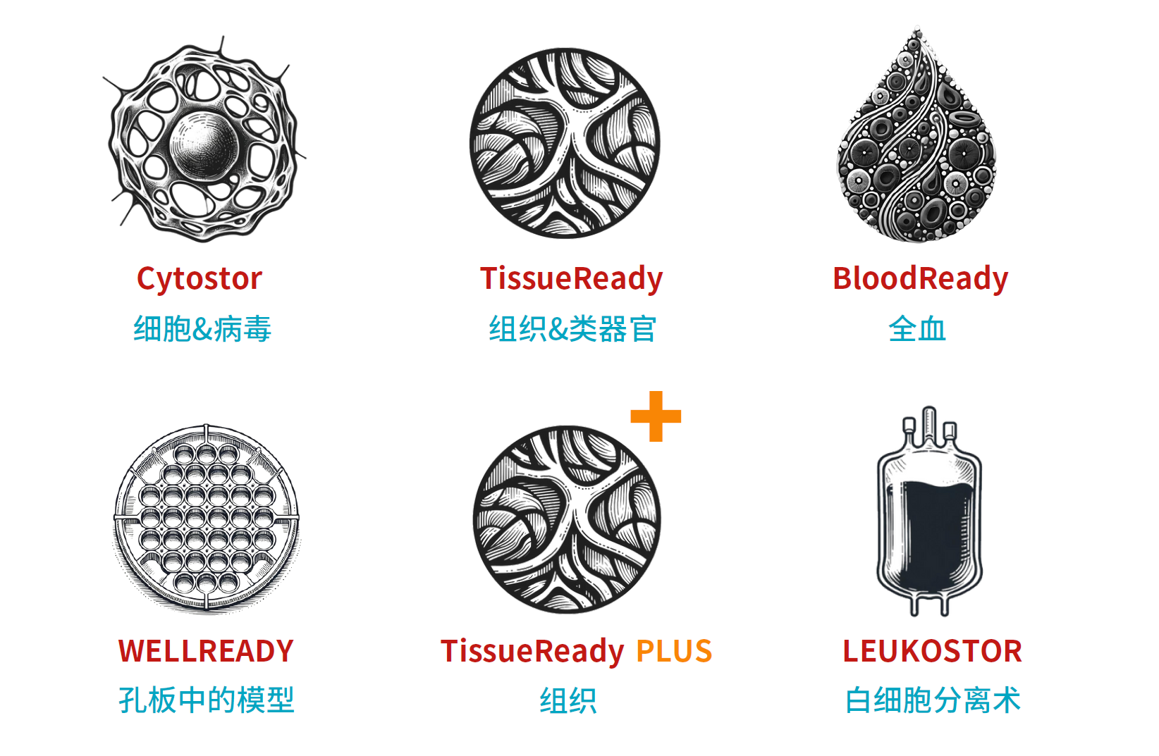 Atelerix品牌熱賣6大系列產品，在超過70多種生物樣本中經過驗證
