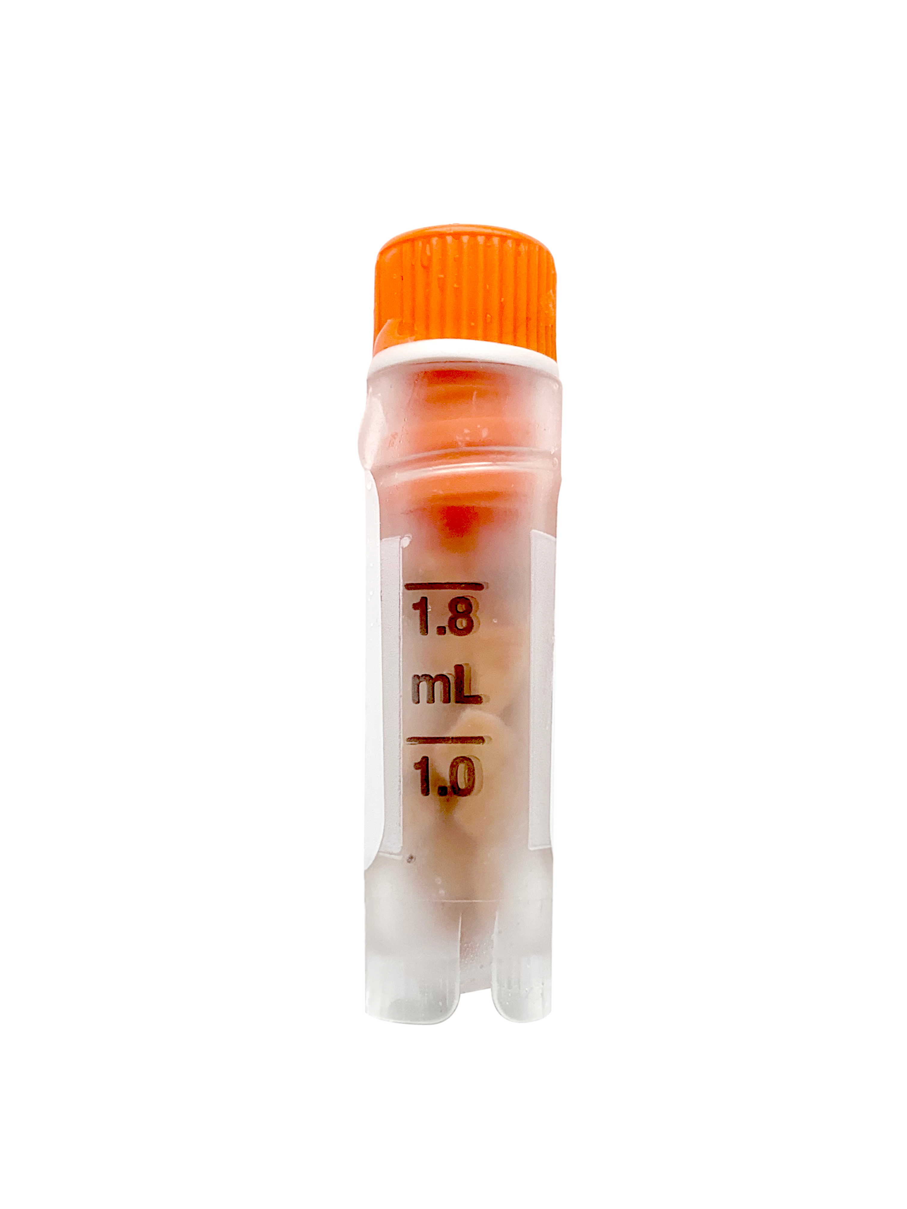 組織樣本