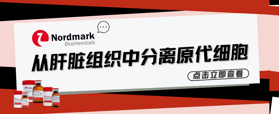 Nordmark膠原酶應用于從肝臟組織中分離原代細胞